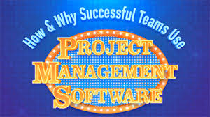 How Successful Teams Use Project Management Software